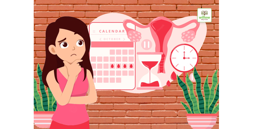 Ini Dia Penyebab  Siklus Menstruasi Willow Mom Tidak Teratur saat Menyusui